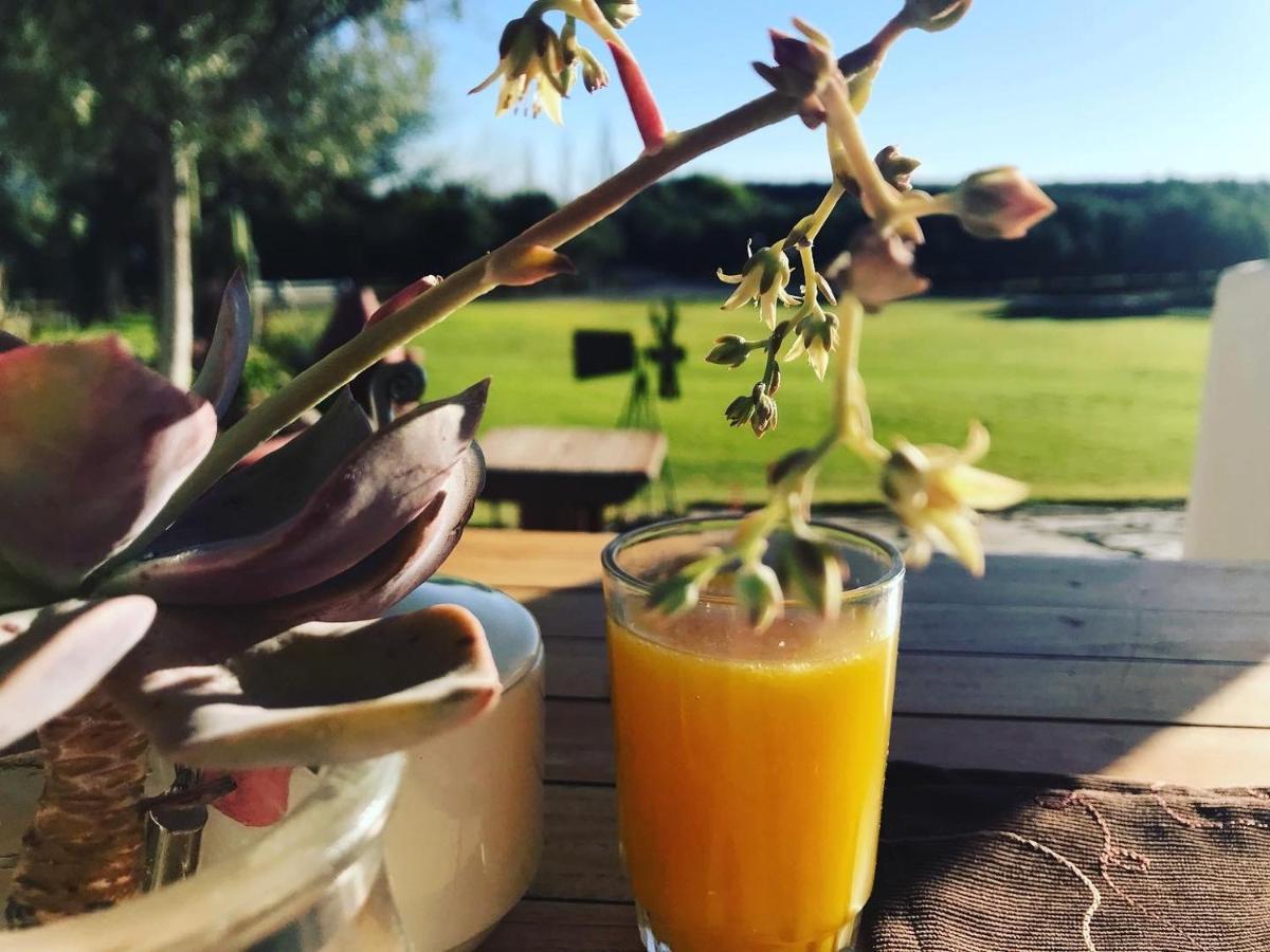 Villa Olive Grove Guest Farm Beaufort West Esterno foto