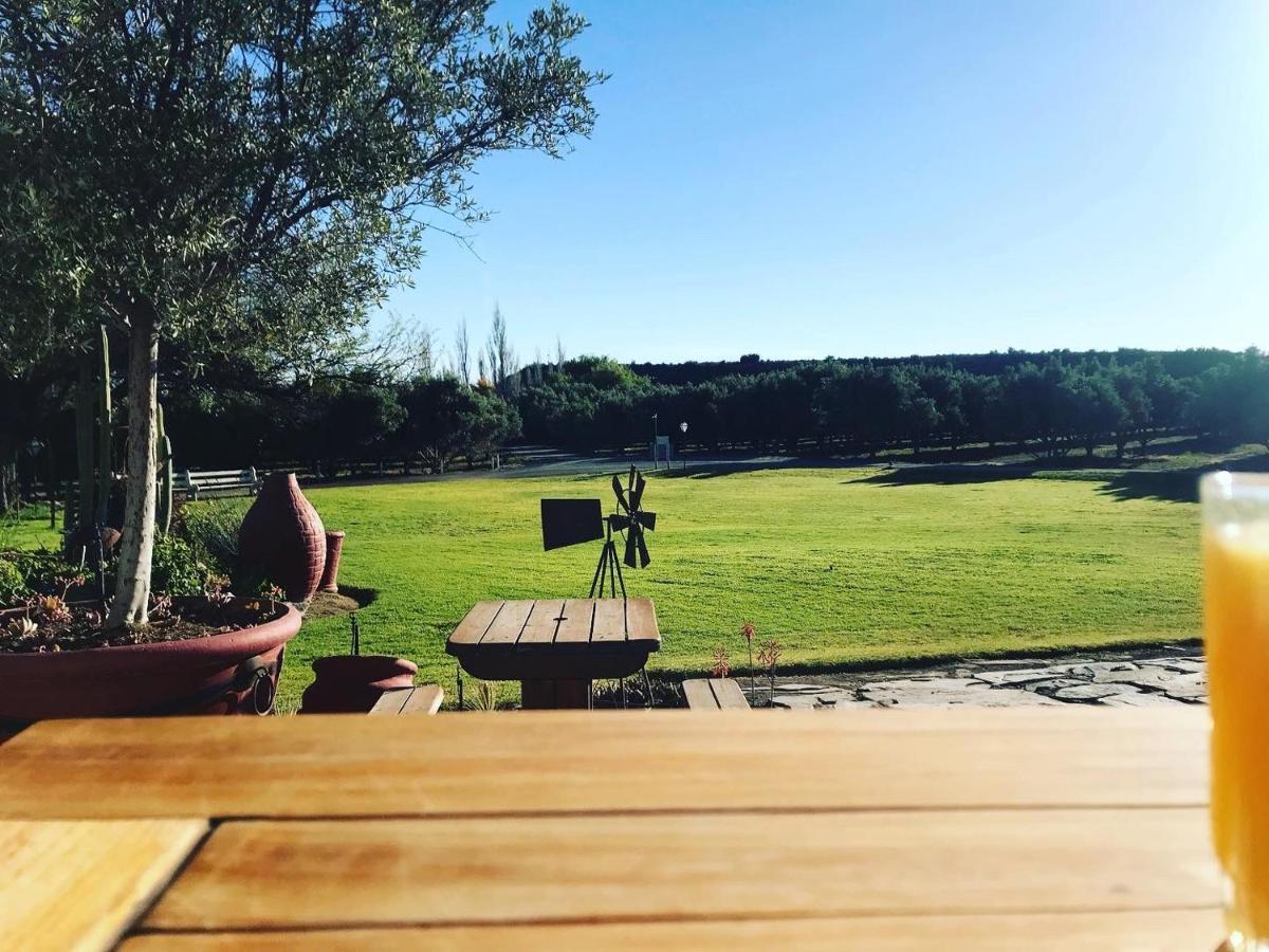 Villa Olive Grove Guest Farm Beaufort West Esterno foto