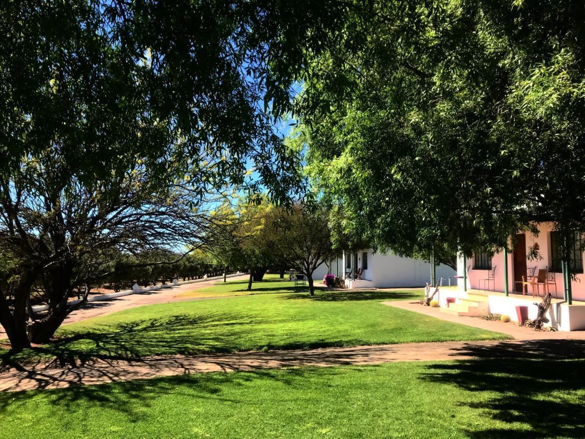 Villa Olive Grove Guest Farm Beaufort West Esterno foto