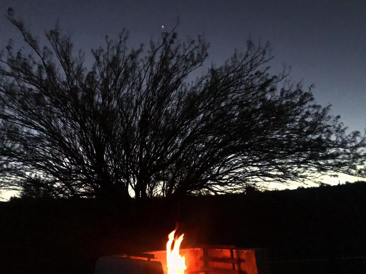 Villa Olive Grove Guest Farm Beaufort West Esterno foto