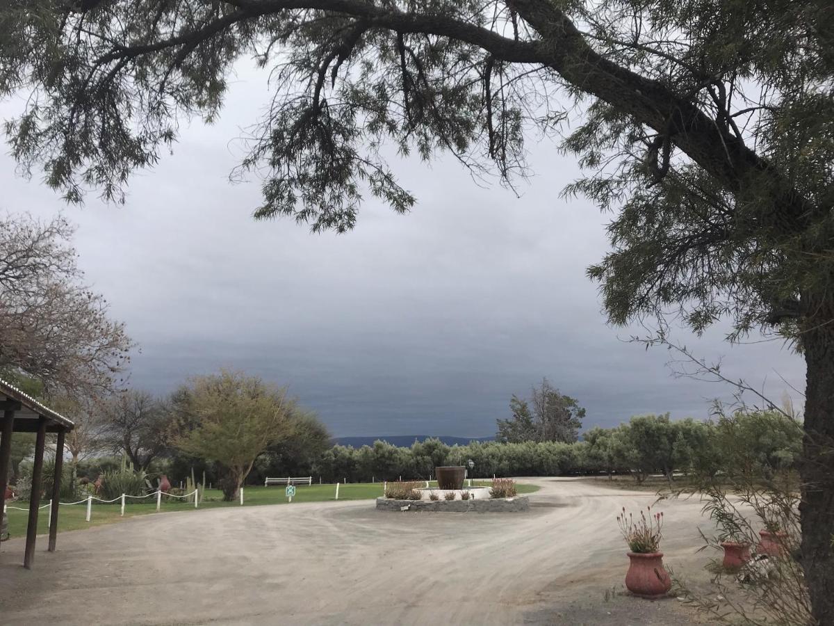 Villa Olive Grove Guest Farm Beaufort West Esterno foto