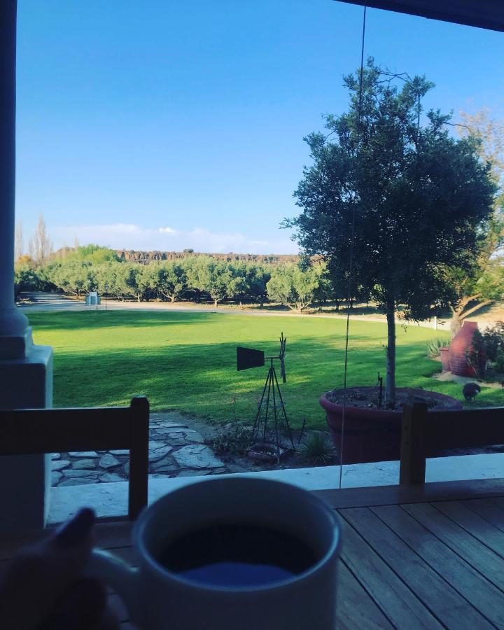 Villa Olive Grove Guest Farm Beaufort West Esterno foto