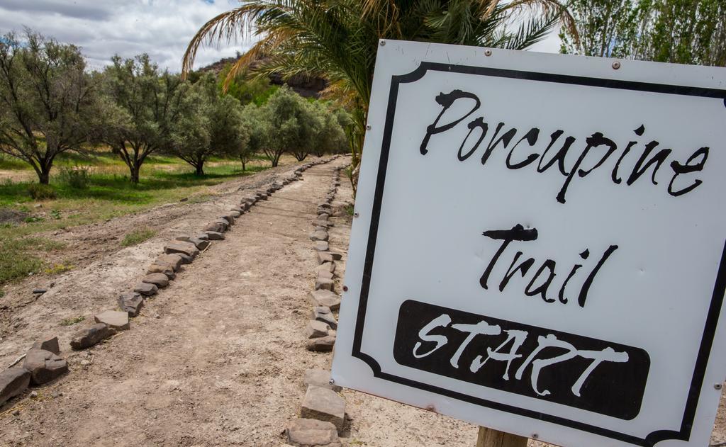 Villa Olive Grove Guest Farm Beaufort West Esterno foto