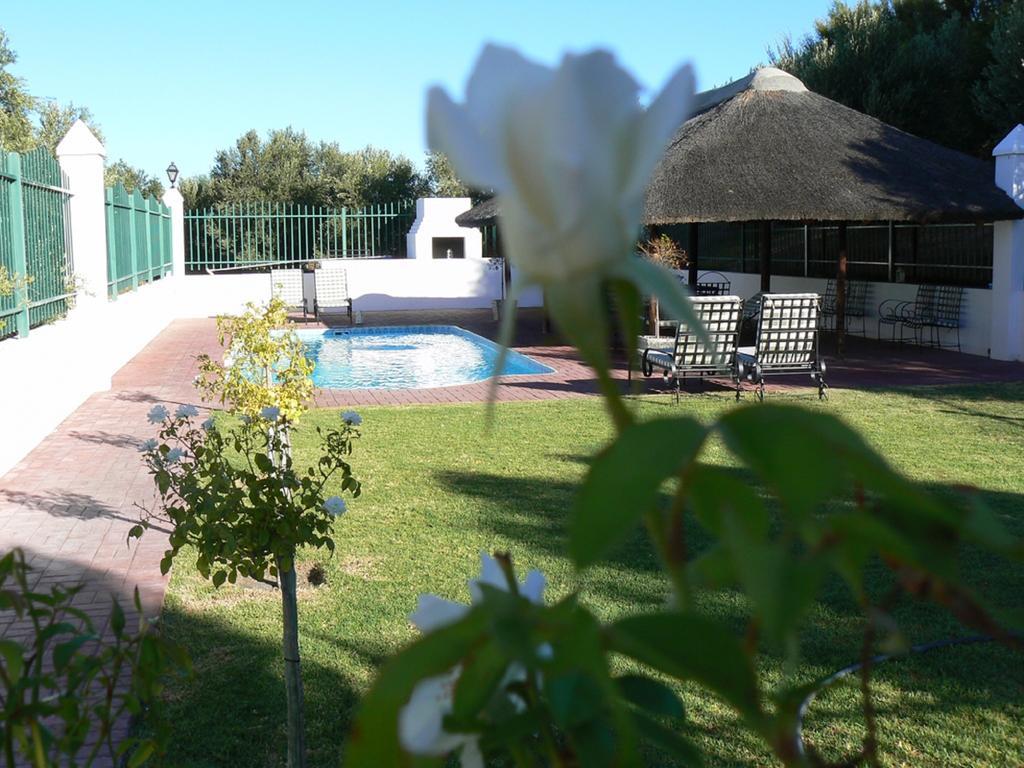 Villa Olive Grove Guest Farm Beaufort West Camera foto
