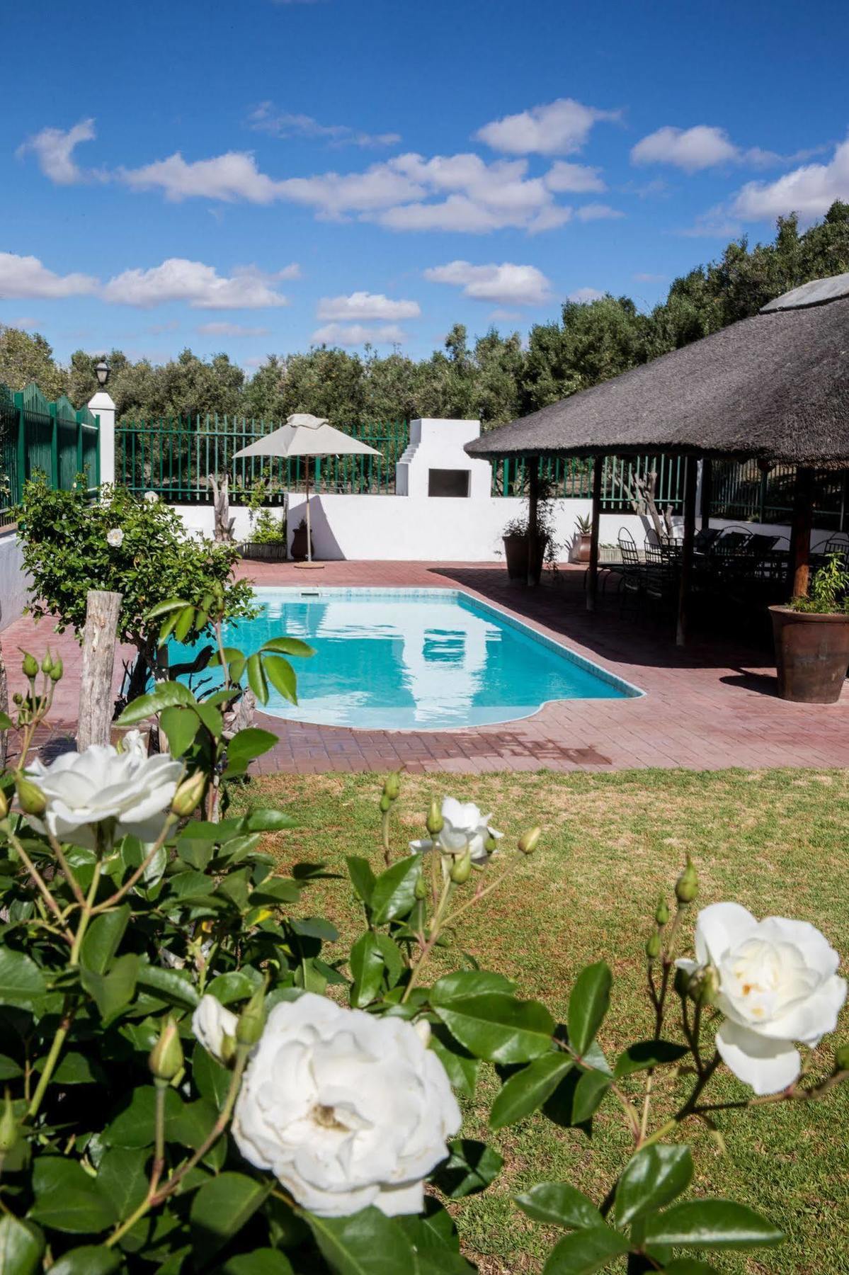 Villa Olive Grove Guest Farm Beaufort West Esterno foto